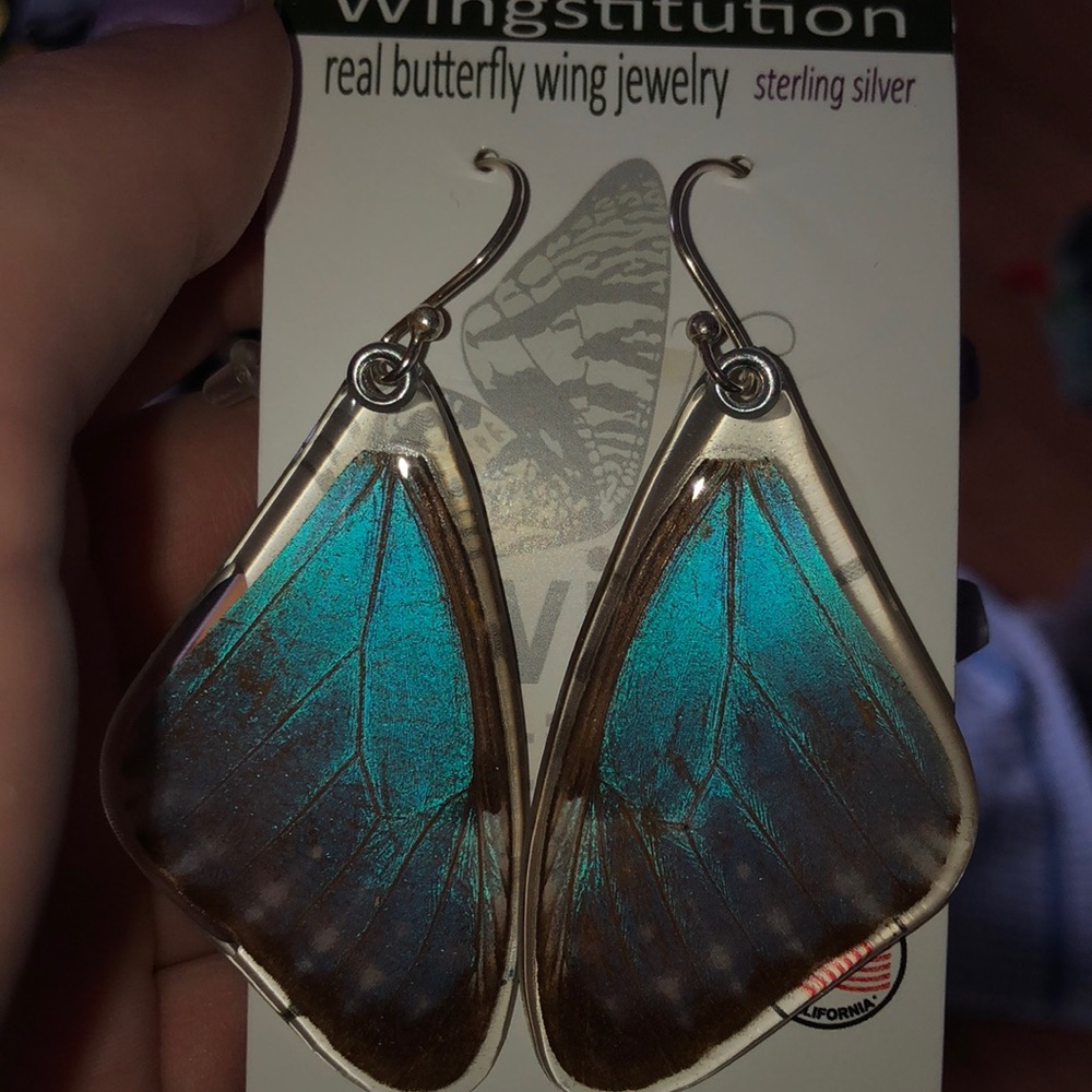 Blue wing earrings